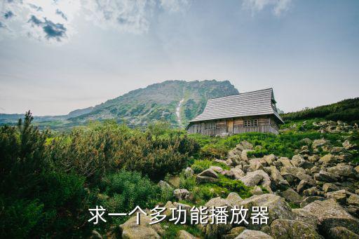 求一个多功能播放器