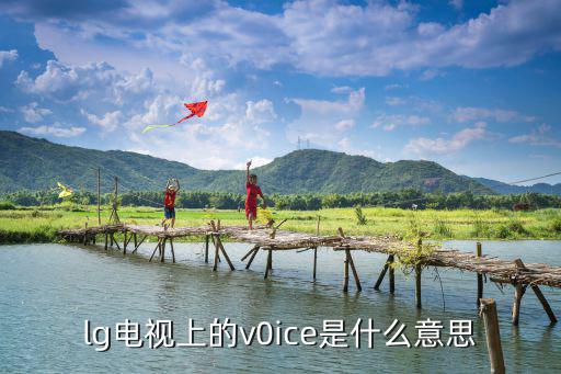 lg电视的av tv是哪个键，lg电视上的v0ice是什么意思