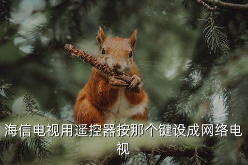 海信电视用遥控器按那个键设成网络电视