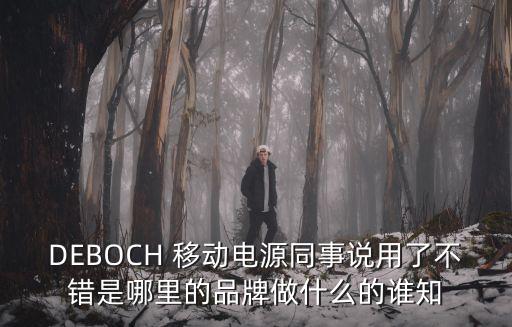 DEBOCH 移动电源同事说用了不错是哪里的品牌做什么的谁知