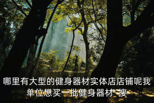 哪里有大型的健身器材实体店店铺呢我单位想买一批健身器材  搜
