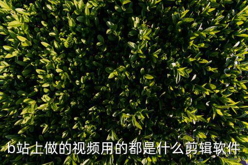 b站上做的视频用的都是什么剪辑软件
