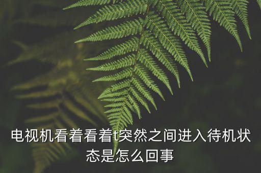 电视机频上显示待机是什么原因，电视机在播放过程中经常跳回待机状态是什么原因