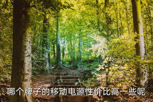 哪个牌子的移动电源性价比高一些呢