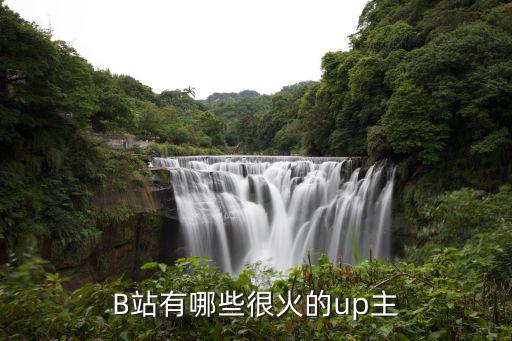 B站有哪些很火的up主