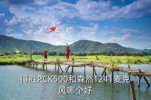 得胜PCK500和森然T241麦克风哪个好