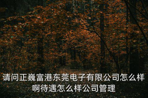 正浩电子有限公司怎么样，请问正巍富港东莞电子有限公司怎么样啊待遇怎么样公司管理