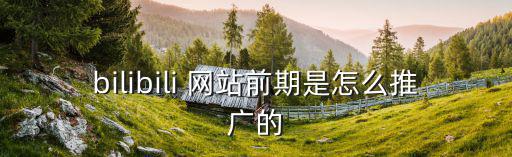 bilibili 网站前期是怎么推广的