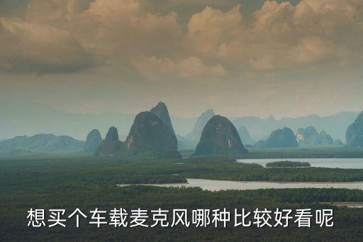 想买个车载麦克风哪种比较好看呢