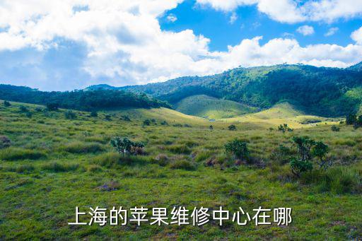 上海的苹果售后地址在哪里看，上海地区iPhone手机官方售后服务点在什么地方