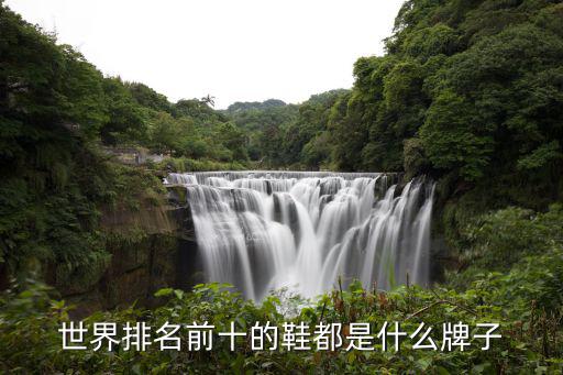 世界排名前十的鞋都是什么牌子