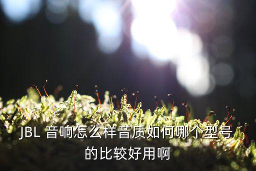 JBL音响音质怎么样，jbl duet这个音箱音质怎么样声音大吗