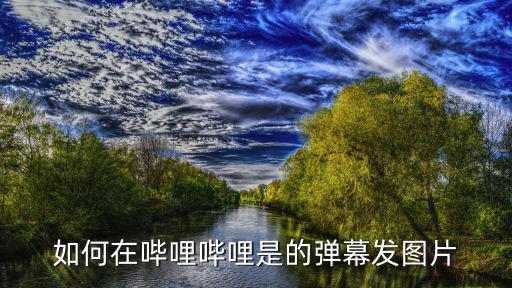 如何在哔哩哔哩是的弹幕发图片