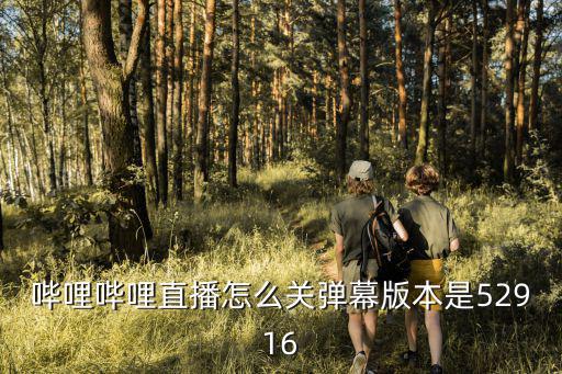 哔哩哔哩直播怎么关弹幕版本是52916