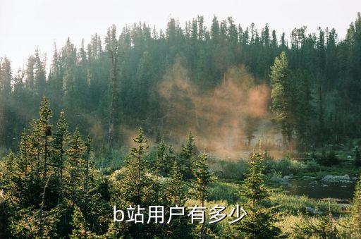 b站用户有多少