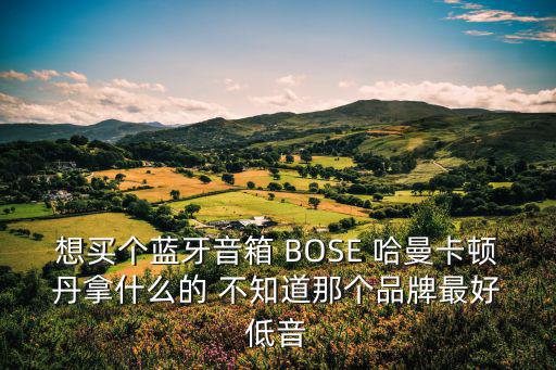 柏林之声和丹拿哪个音响好，柏林之声音响好还是丹拿音响好 差多少 都是德国顶级货