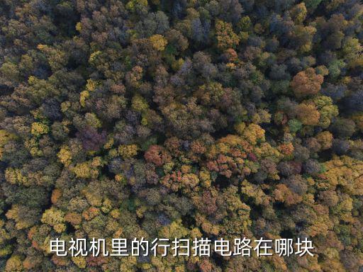 彩电行输出在哪里，电视机的行扫描在什么位置