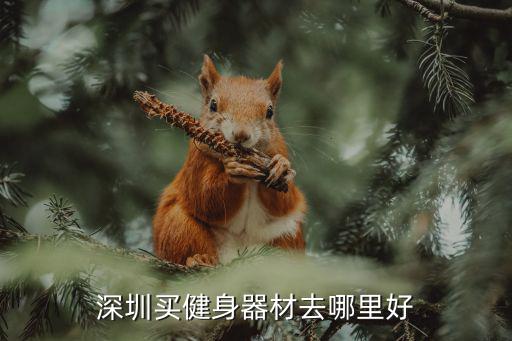深圳买健身器材去哪里好