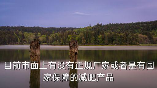 目前市面上有没有正规厂家或者是有国家保障的减肥产品