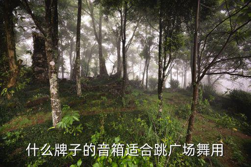 广场舞音响 户外音箱，什么牌子的音箱适合跳广场舞用