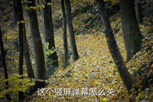 这个竖屏弹幕怎么关