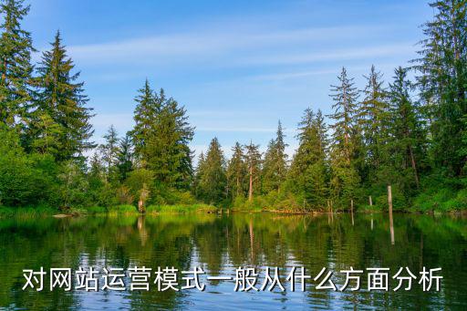 对网站运营模式一般从什么方面分析