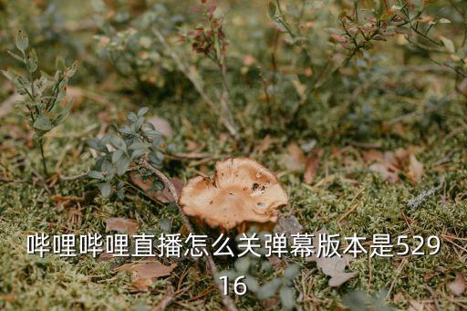 哔哩哔哩直播怎么关弹幕版本是52916