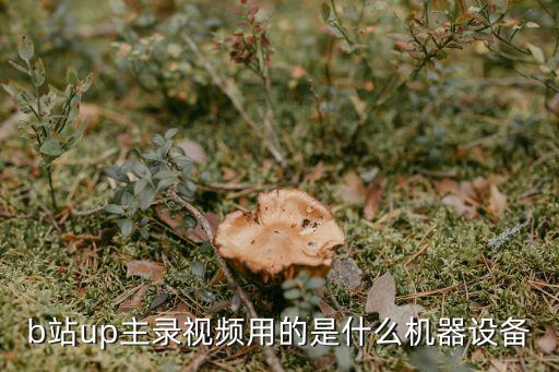 b站up主录视频用的是什么机器设备