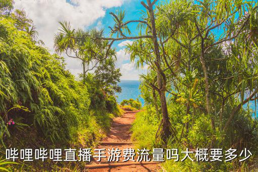哔哩哔哩直播手游费流量吗大概要多少