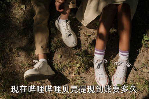 b站活动金仓鼠不到账，b站看直播领取的瓜子能累积存起来吗