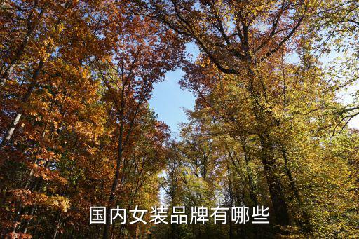 国内女装品牌有哪些