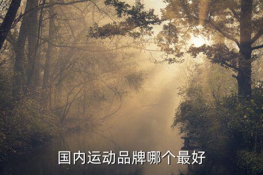 国内哪个运动品牌好，现在国内最好的运动品牌有哪些