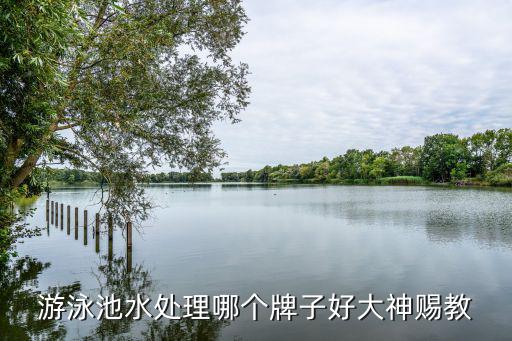 泳池设备品牌，世界上的游泳装备品牌有哪些