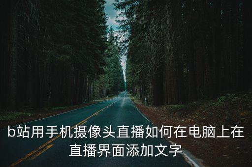 b站摄像头，B站怎样改变视频分p顺序