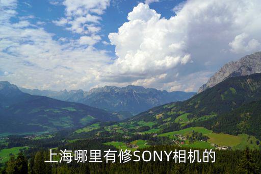 上海哪里有修SONY相机的