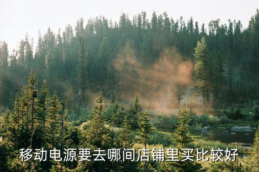 移动电源什么店有卖，移动电源要去哪间店铺里买比较好