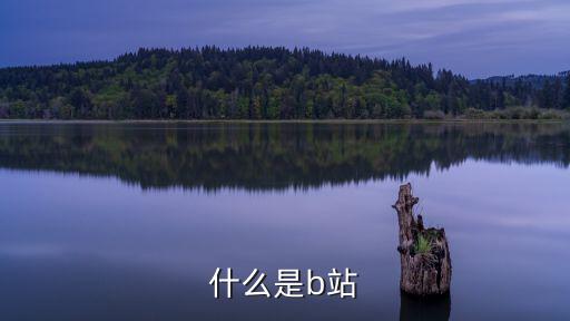 什么是b站