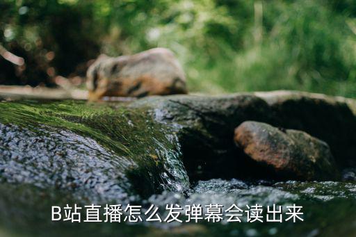 b站直播弹幕语音播报怎么设置，b站主播如何限制发言ul等级