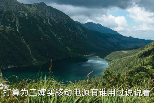打算为三婶买移动电源有谁用过说说看