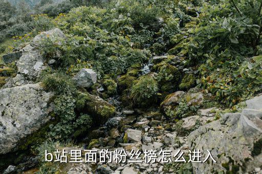 b站里面的粉丝榜怎么进入