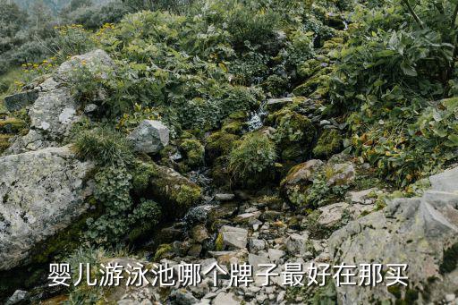 婴儿游泳池哪个牌子最好在那买