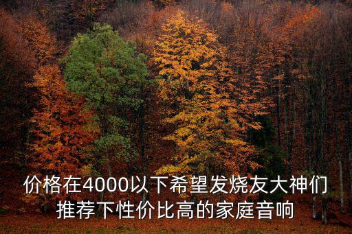 价格在4000以下希望发烧友大神们推荐下性价比高的家庭音响