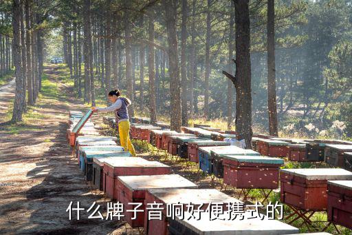 什么牌子音响好便携式的
