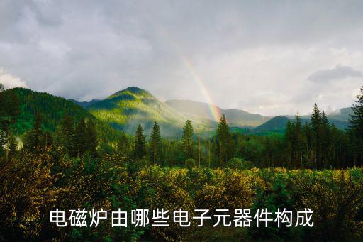 电磁炉由哪些电子元器件构成