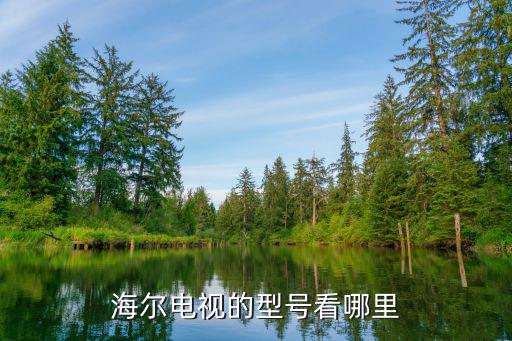海尔电视的型号看哪里