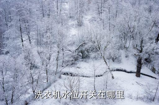 洗衣机水位开关在哪里