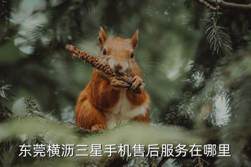 东莞横沥三星手机售后服务在哪里