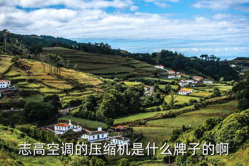 志高空调的压缩机是什么牌子的啊
