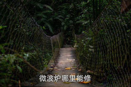 微波炉哪里能修
