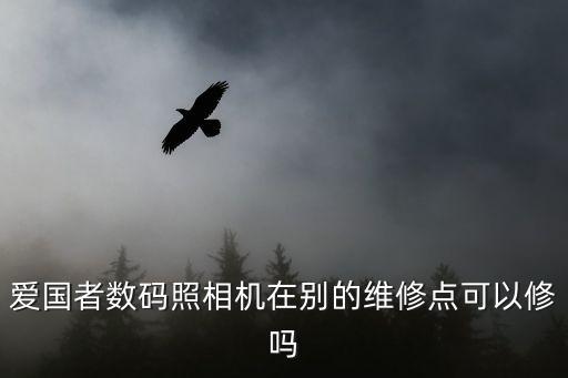 爱国者数码照相机在别的维修点可以修吗